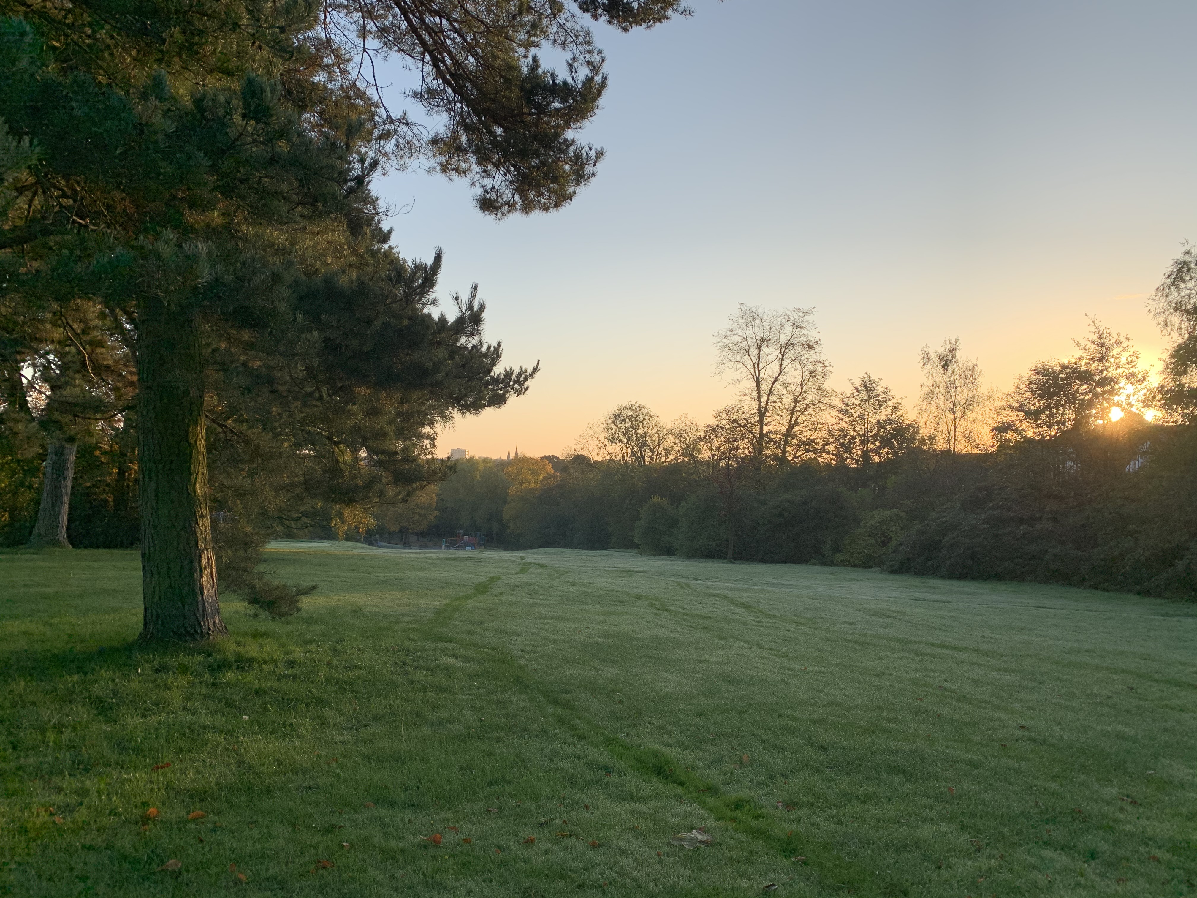 Valley Gardens in the morning